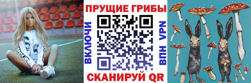 Псилоцибиновые грибы GOLDEN TEACHER  Александров 